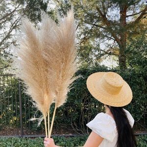 GORGEOUS! XXL Premium Sandy Blonde Wedding Pampas